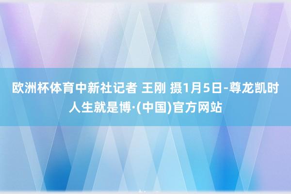 欧洲杯体育中新社记者 王刚 摄1月5日-尊龙凯时人生就是博·(中国)官方网站