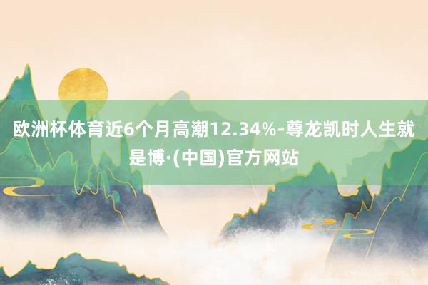 欧洲杯体育近6个月高潮12.34%-尊龙凯时人生就是博·(中国)官方网站
