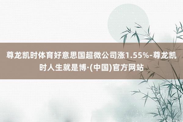 尊龙凯时体育好意思国超微公司涨1.55%-尊龙凯时人生就是博·(中国)官方网站