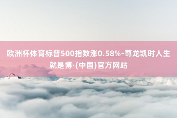 欧洲杯体育标普500指数涨0.58%-尊龙凯时人生就是博·(中国)官方网站