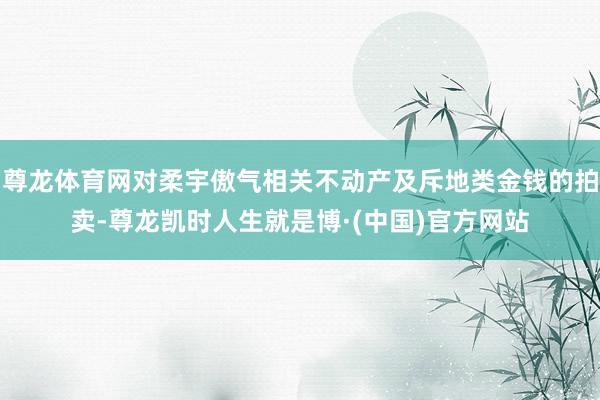 尊龙体育网对柔宇傲气相关不动产及斥地类金钱的拍卖-尊龙凯时人生就是博·(中国)官方网站