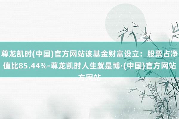 尊龙凯时(中国)官方网站该基金财富设立：股票占净值比85.44%-尊龙凯时人生就是博·(中国)官方网站
