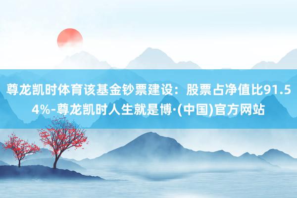 尊龙凯时体育该基金钞票建设：股票占净值比91.54%-尊龙凯时人生就是博·(中国)官方网站