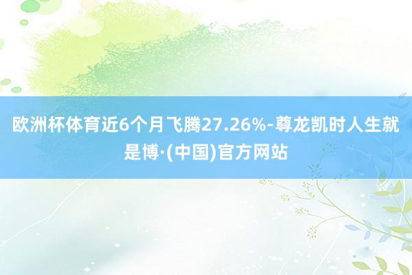 欧洲杯体育近6个月飞腾27.26%-尊龙凯时人生就是博·(中国)官方网站