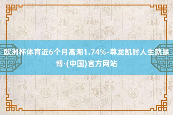 欧洲杯体育近6个月高潮1.74%-尊龙凯时人生就是博·(中国)官方网站
