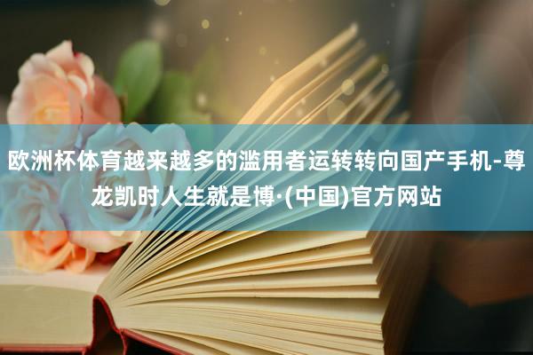 欧洲杯体育越来越多的滥用者运转转向国产手机-尊龙凯时人生就是博·(中国)官方网站