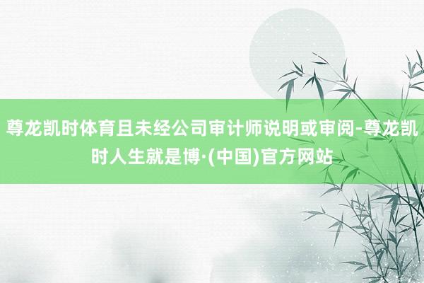 尊龙凯时体育且未经公司审计师说明或审阅-尊龙凯时人生就是博·(中国)官方网站