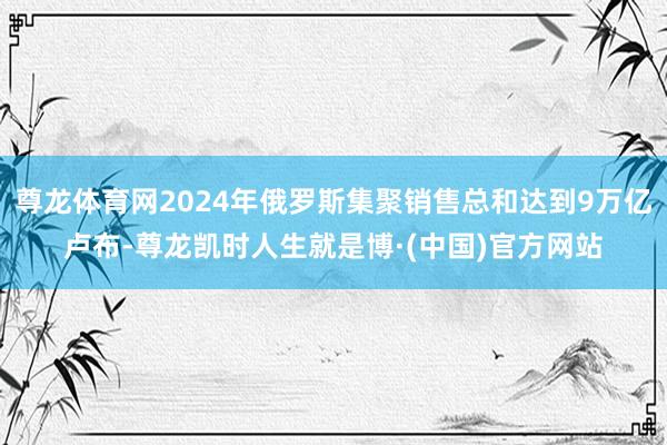 尊龙体育网2024年俄罗斯集聚销售总和达到9万亿卢布-尊龙凯时人生就是博·(中国)官方网站