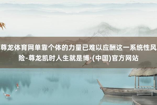 尊龙体育网单靠个体的力量已难以应酬这一系统性风险-尊龙凯时人生就是博·(中国)官方网站