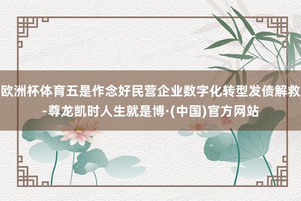 欧洲杯体育五是作念好民营企业数字化转型发债解救-尊龙凯时人生就是博·(中国)官方网站