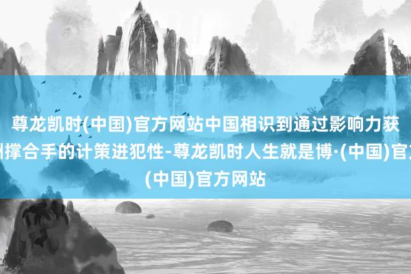尊龙凯时(中国)官方网站中国相识到通过影响力获取非洲撑合手的计策进犯性-尊龙凯时人生就是博·(中国)官方网站