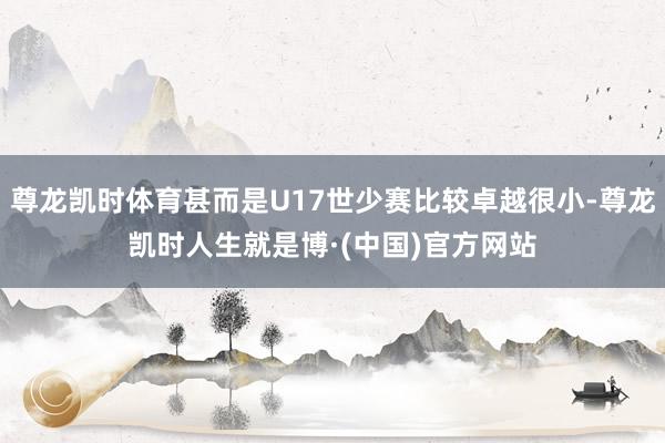 尊龙凯时体育甚而是U17世少赛比较卓越很小-尊龙凯时人生就是博·(中国)官方网站