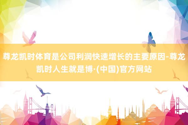 尊龙凯时体育是公司利润快速增长的主要原因-尊龙凯时人生就是博·(中国)官方网站
