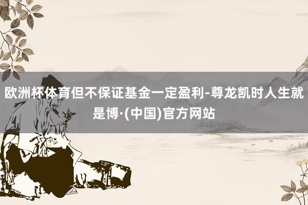 欧洲杯体育但不保证基金一定盈利-尊龙凯时人生就是博·(中国)官方网站