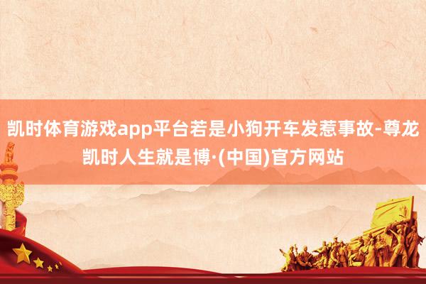 凯时体育游戏app平台若是小狗开车发惹事故-尊龙凯时人生就是博·(中国)官方网站