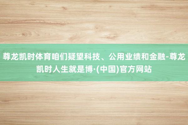 尊龙凯时体育咱们疑望科技、公用业绩和金融-尊龙凯时人生就是博·(中国)官方网站