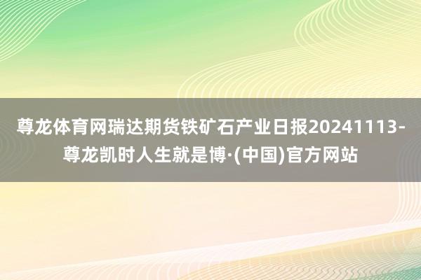 尊龙体育网瑞达期货铁矿石产业日报20241113-尊龙凯时人生就是博·(中国)官方网站