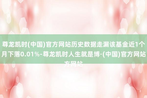 尊龙凯时(中国)官方网站历史数据走漏该基金近1个月下落0.01%-尊龙凯时人生就是博·(中国)官方网站
