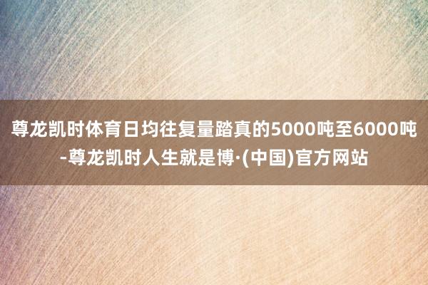 尊龙凯时体育日均往复量踏真的5000吨至6000吨-尊龙凯时人生就是博·(中国)官方网站