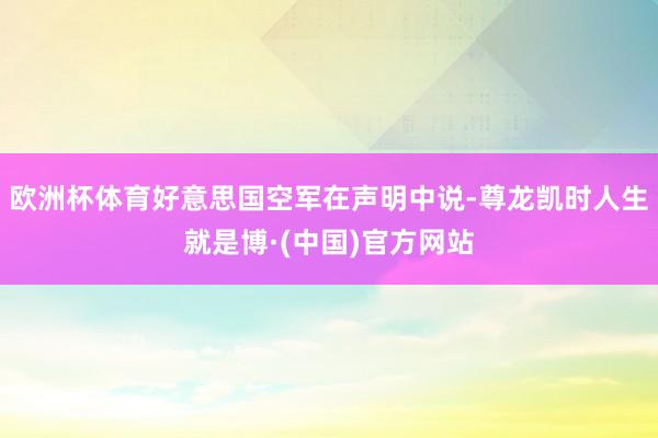 欧洲杯体育好意思国空军在声明中说-尊龙凯时人生就是博·(中国)官方网站
