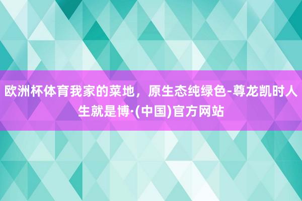 欧洲杯体育我家的菜地，原生态纯绿色-尊龙凯时人生就是博·(中国)官方网站